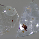 Contact lenses recovered from treated sewage sludge.